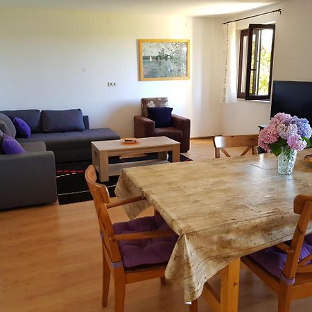 Apartment Monfiorenzo 11 ロヴィニ エクステリア 写真